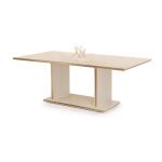 Galaxy Dining Table and Chair