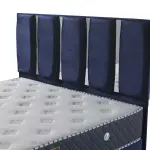 Coral Base and Coral Headboard