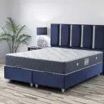 Coral Base and Coral Headboard