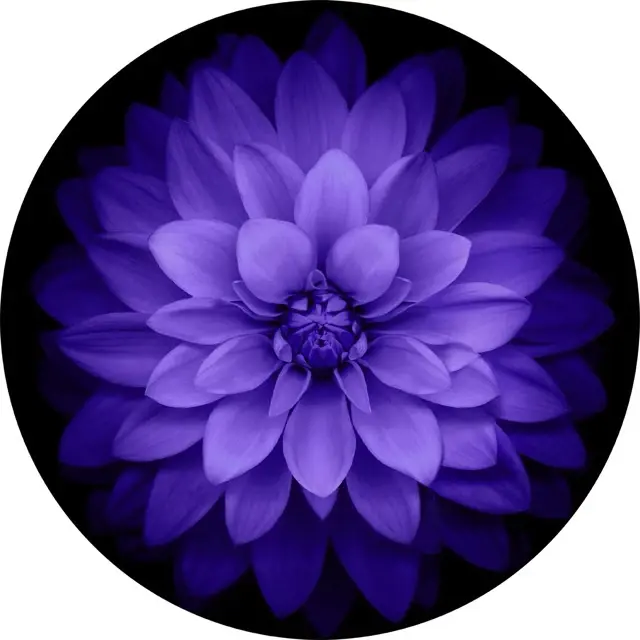 Bloom - Circle Wall Glass Art