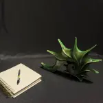 Handmade Green Spiral Shell Sculpture