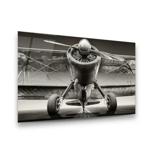 Glider - Horizontal Glass Art