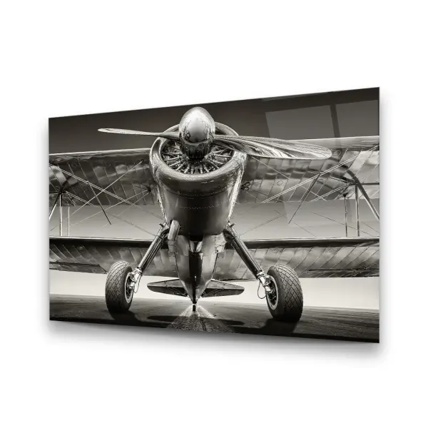 Glider - Horizontal Glass Art