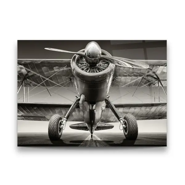 Glider - Horizontal Glass Art