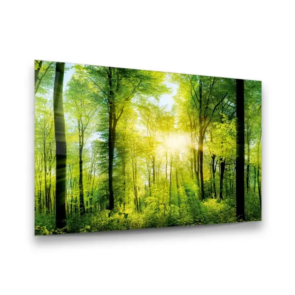 Sunrise and Forest - Horizontal Glass Art