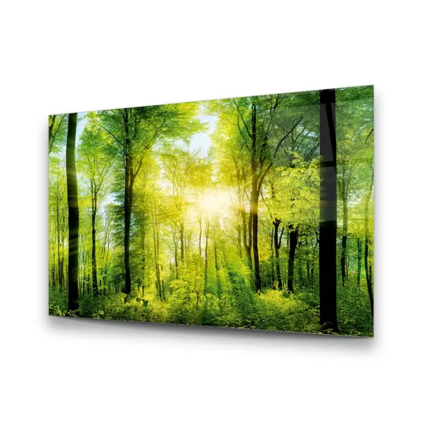 Sunrise and Forest - Horizontal Glass Art