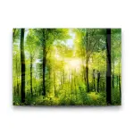 Sunrise and Forest - Horizontal Glass Art