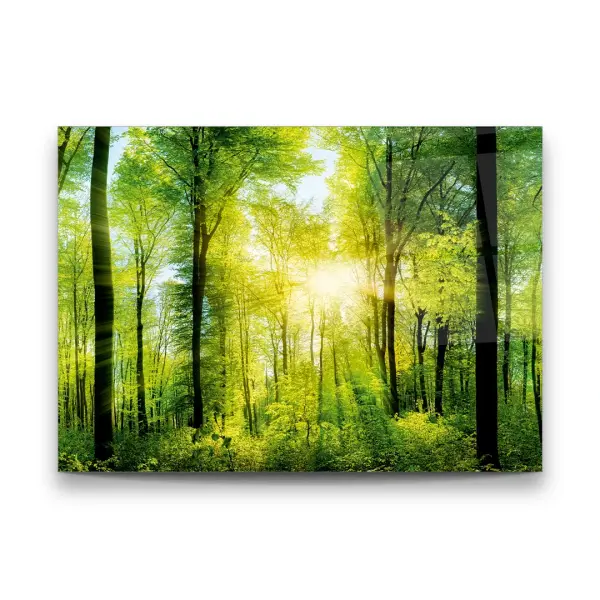 Sunrise and Forest - Horizontal Glass Art
