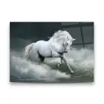 White Racing Horse - Horizontal Glass Art