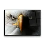 Eagle Portrait - Horizontal Glass Art