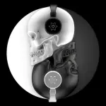 Skull Listening To Music - Rectangle Wall Glass Art