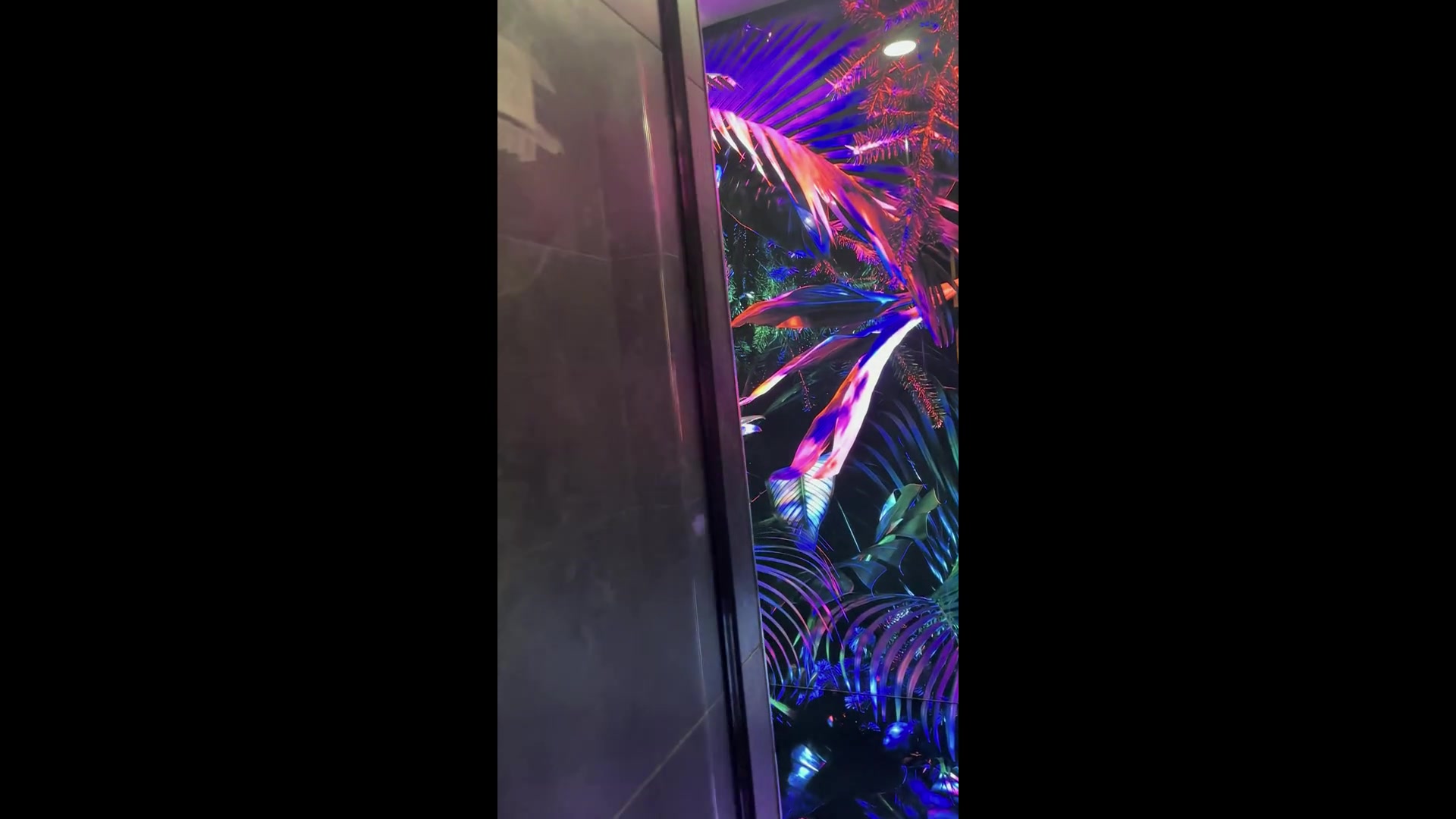 Bathroom Renovation Ferozzi Glassart Atlanta Usa