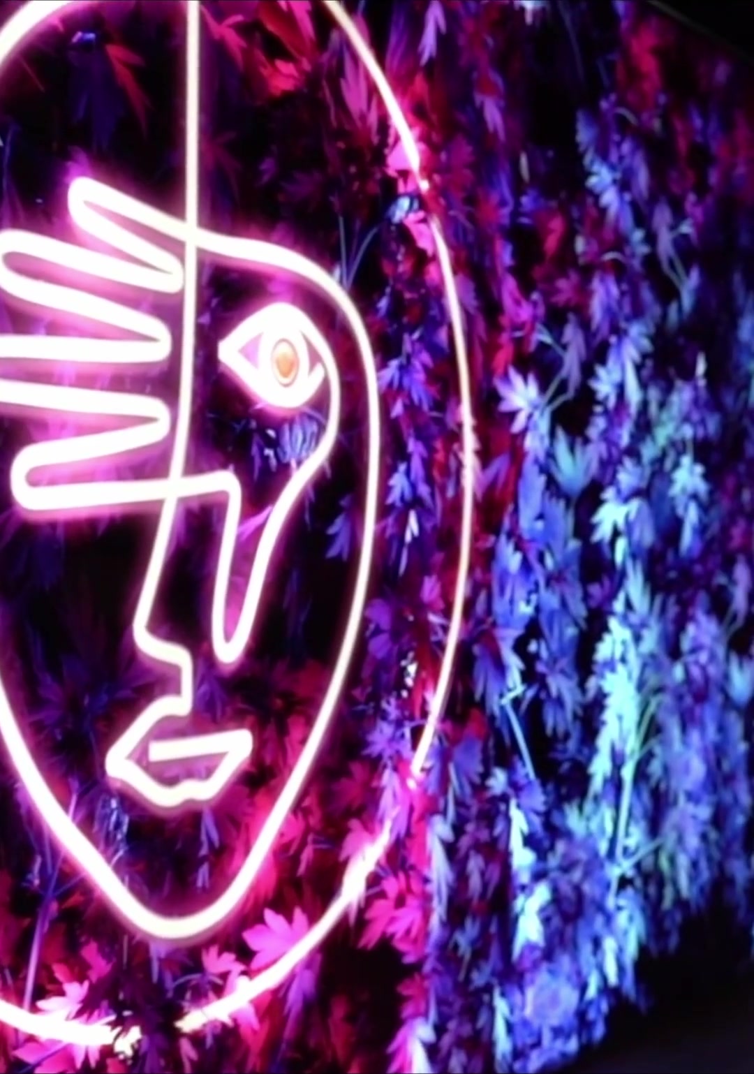 Nightclub Renovation Final Exterior Interior Entrance