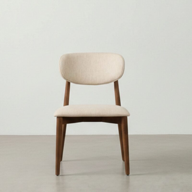 Salda Modern Dining Chair