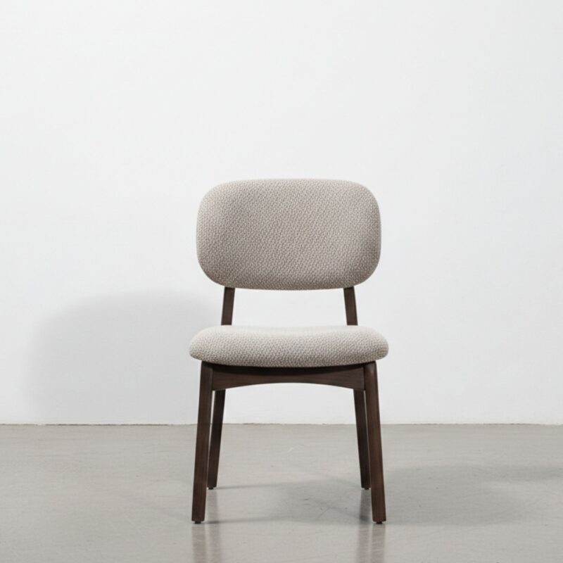 Urban Modern Dining Chair