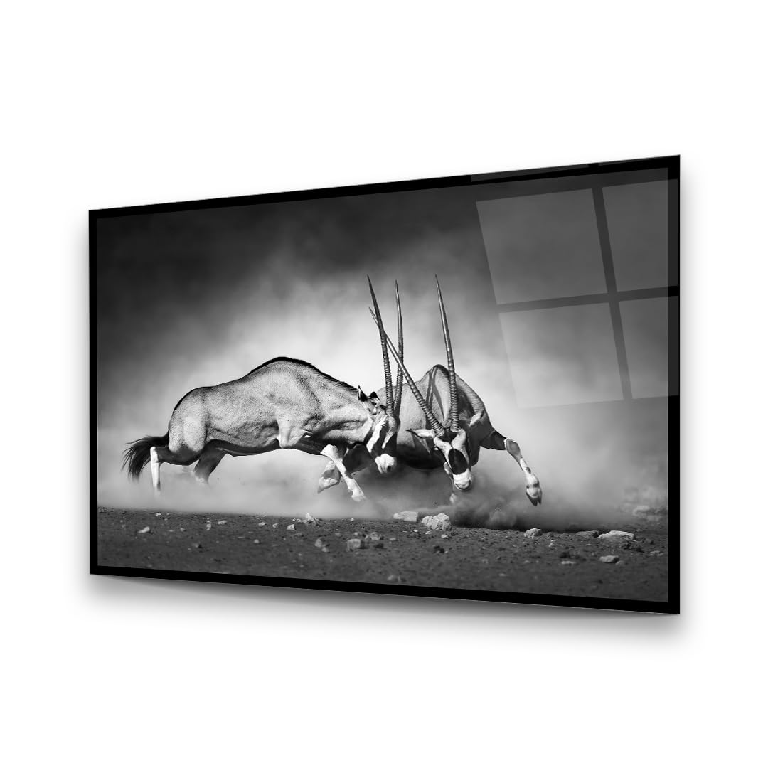 Fighting Antelope Glass Wall Art