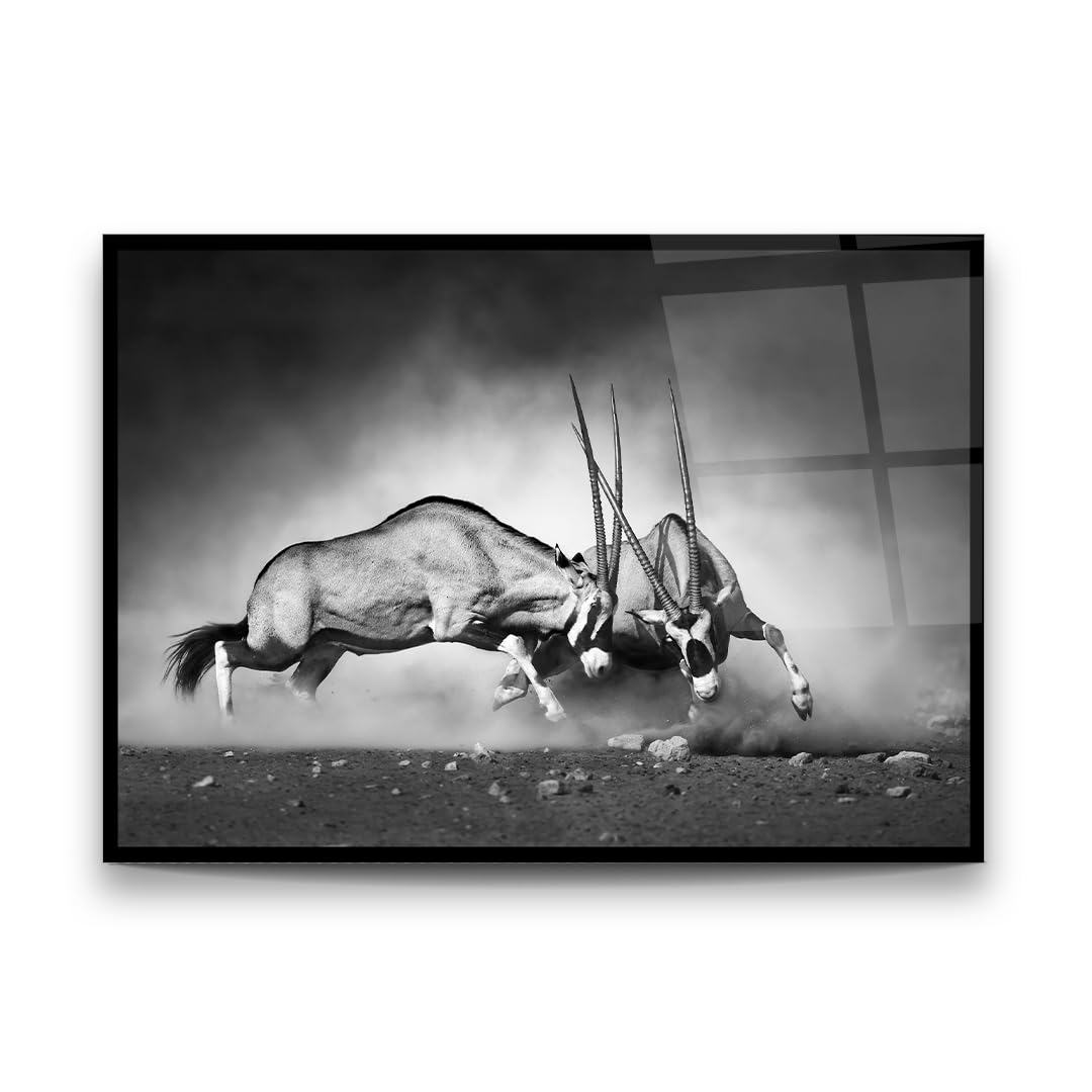 Fighting Antelope Glass Wall Art