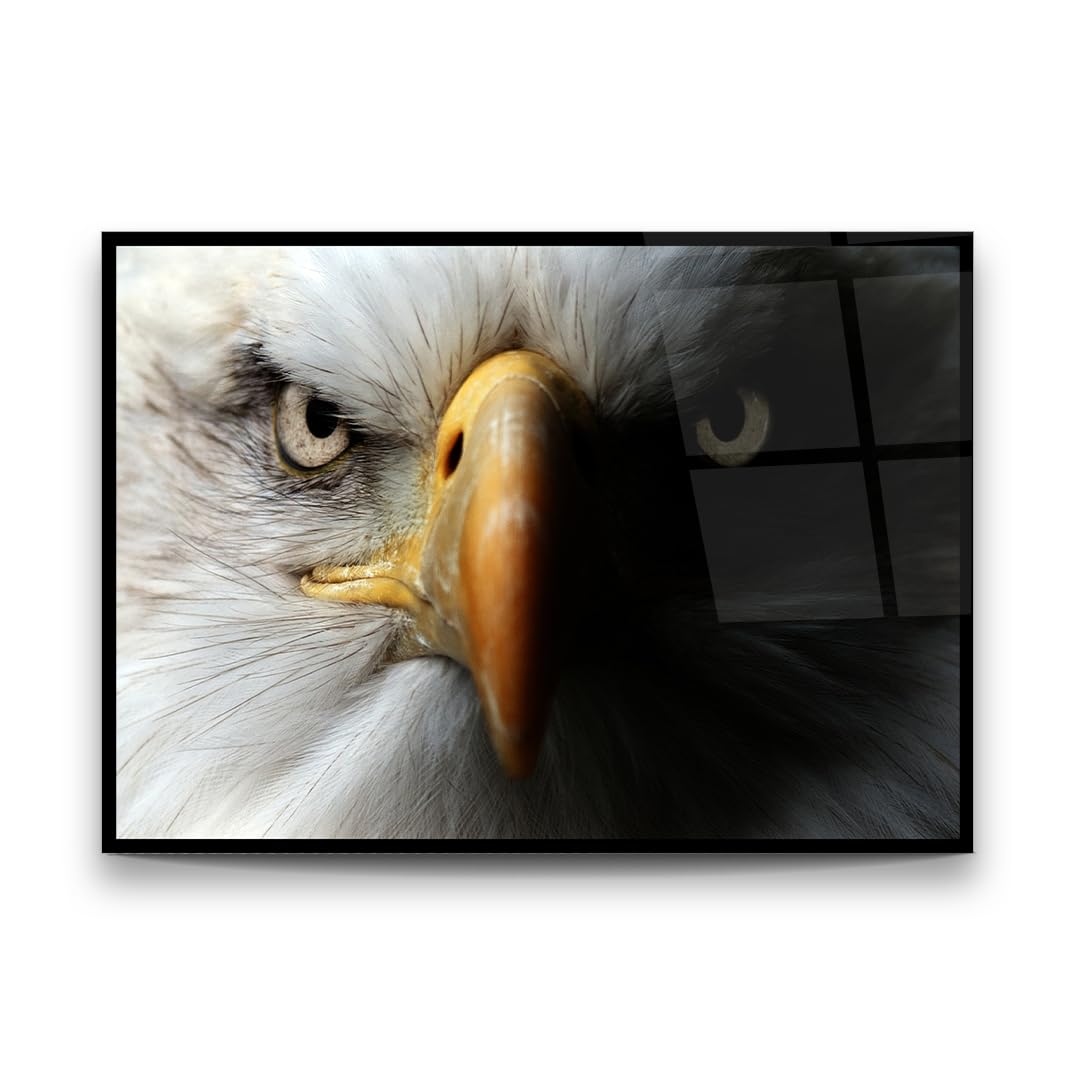 Eagle Glass Wall Art