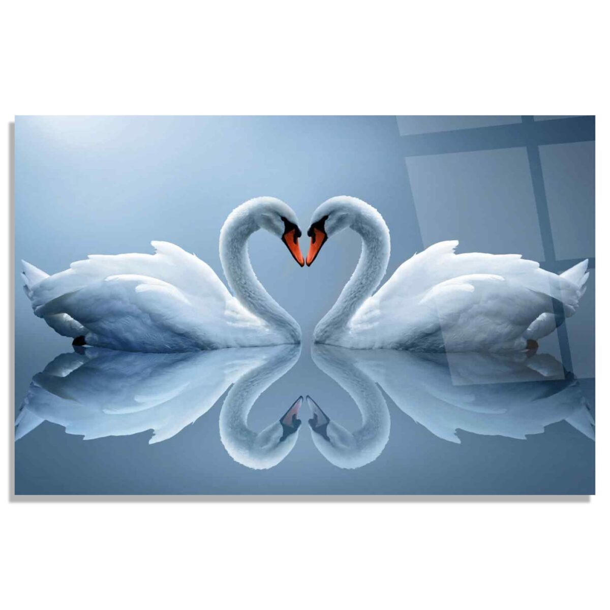 Swans Glass Wall Art