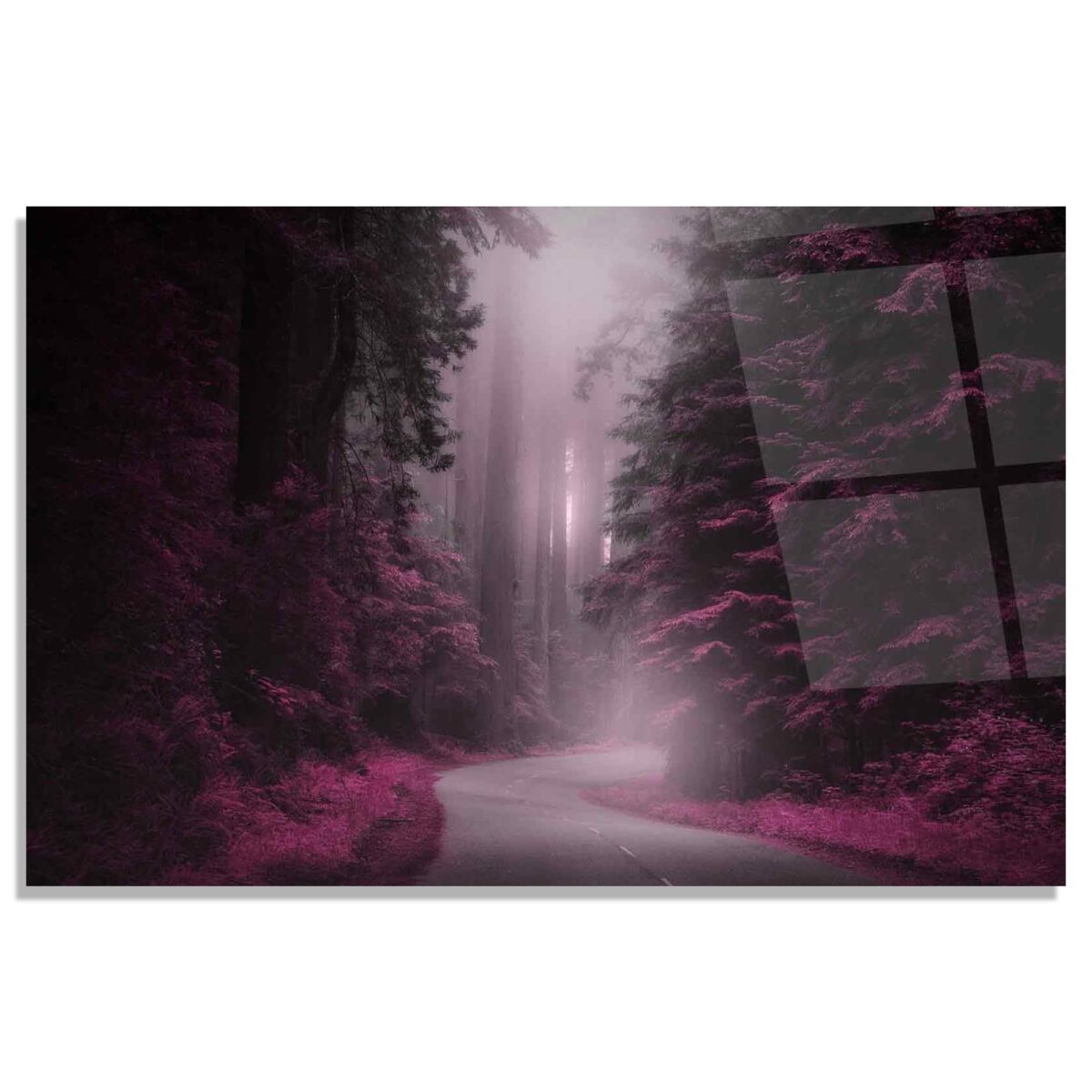 Mystic Forest Pathway Glass Wall Art