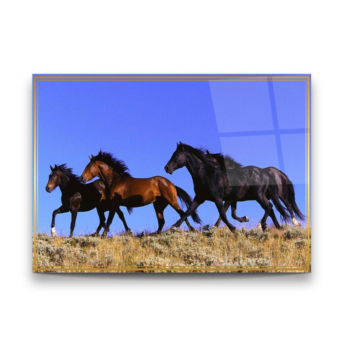 Stray Horses Glass Wall Art