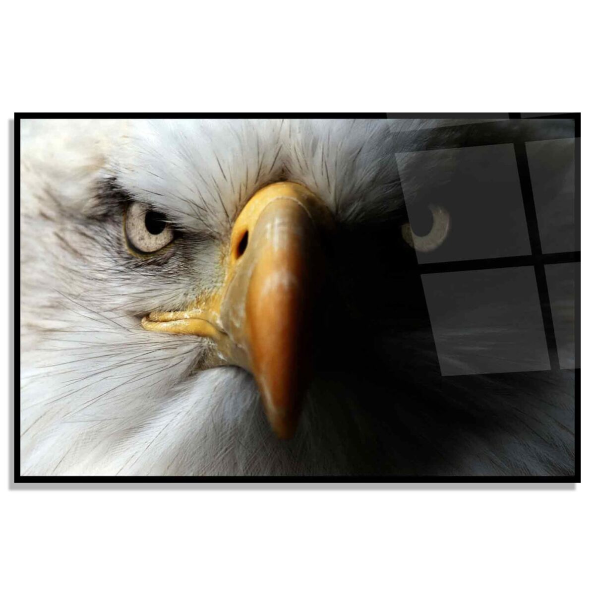 Eagle Glass Wall Art