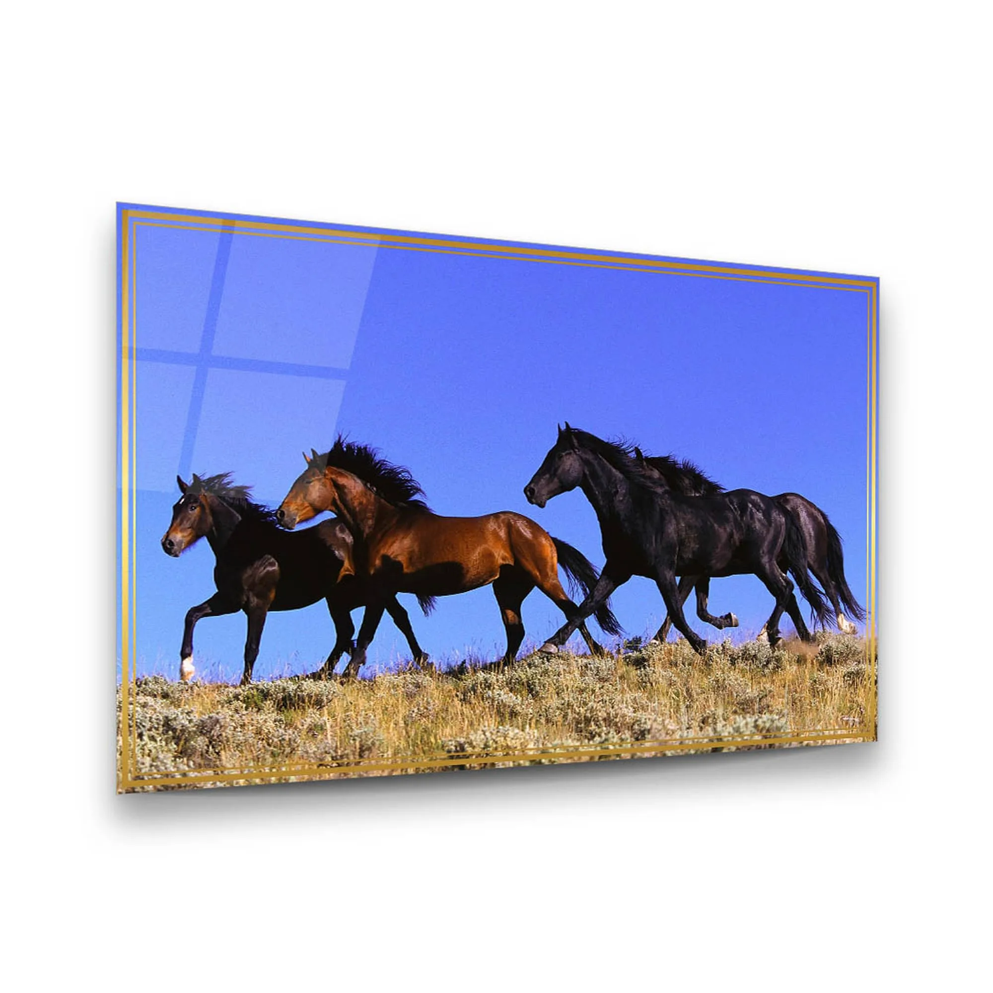 Stray Horses Glass Wall Art