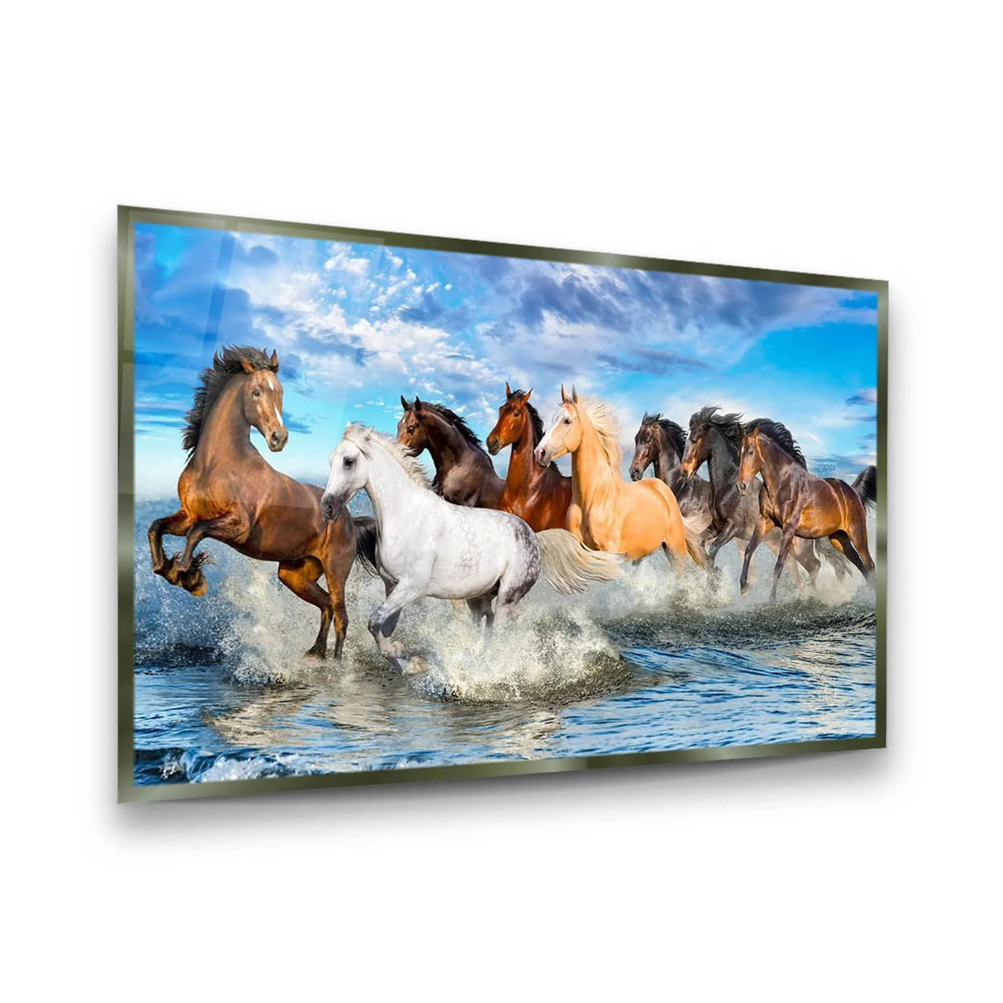 Animal Figures Horizontal Glass Wall Art