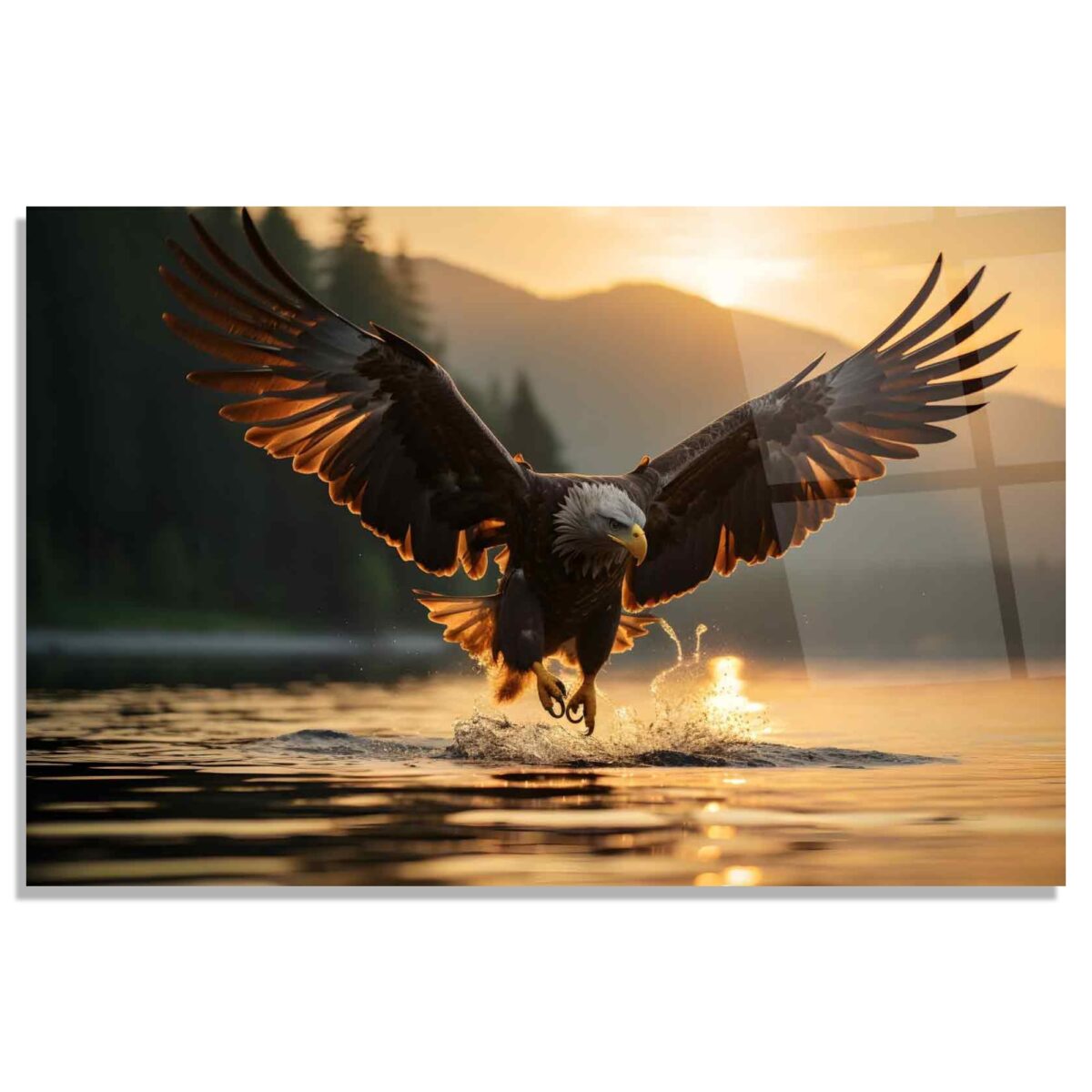 Eagle in Flight Glass Wall Art