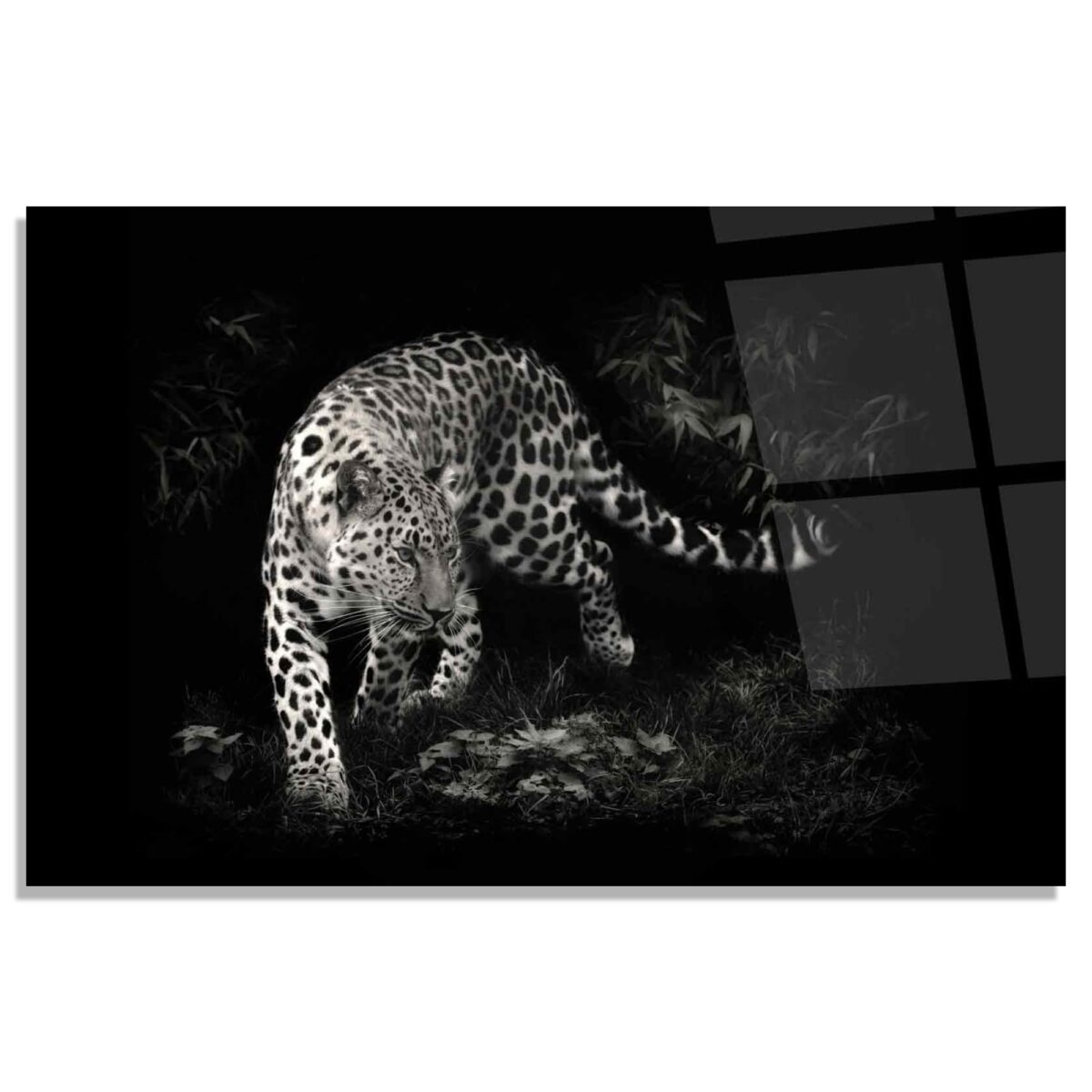 Bengal Tiger Glass Wall Art