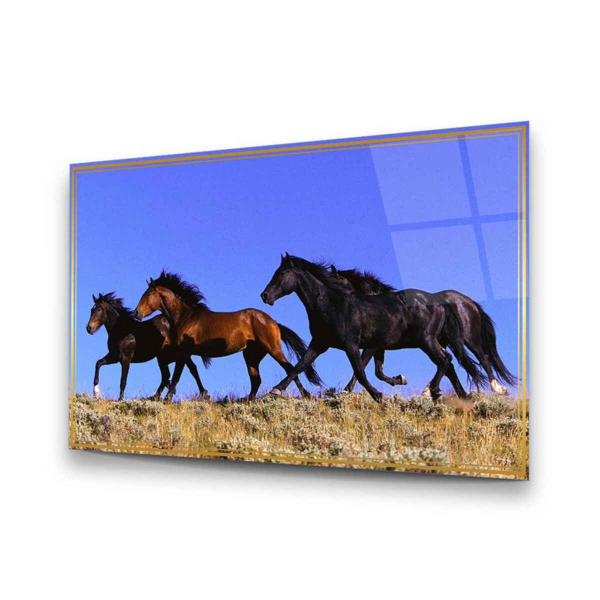 Stray Horses Glass Wall Art