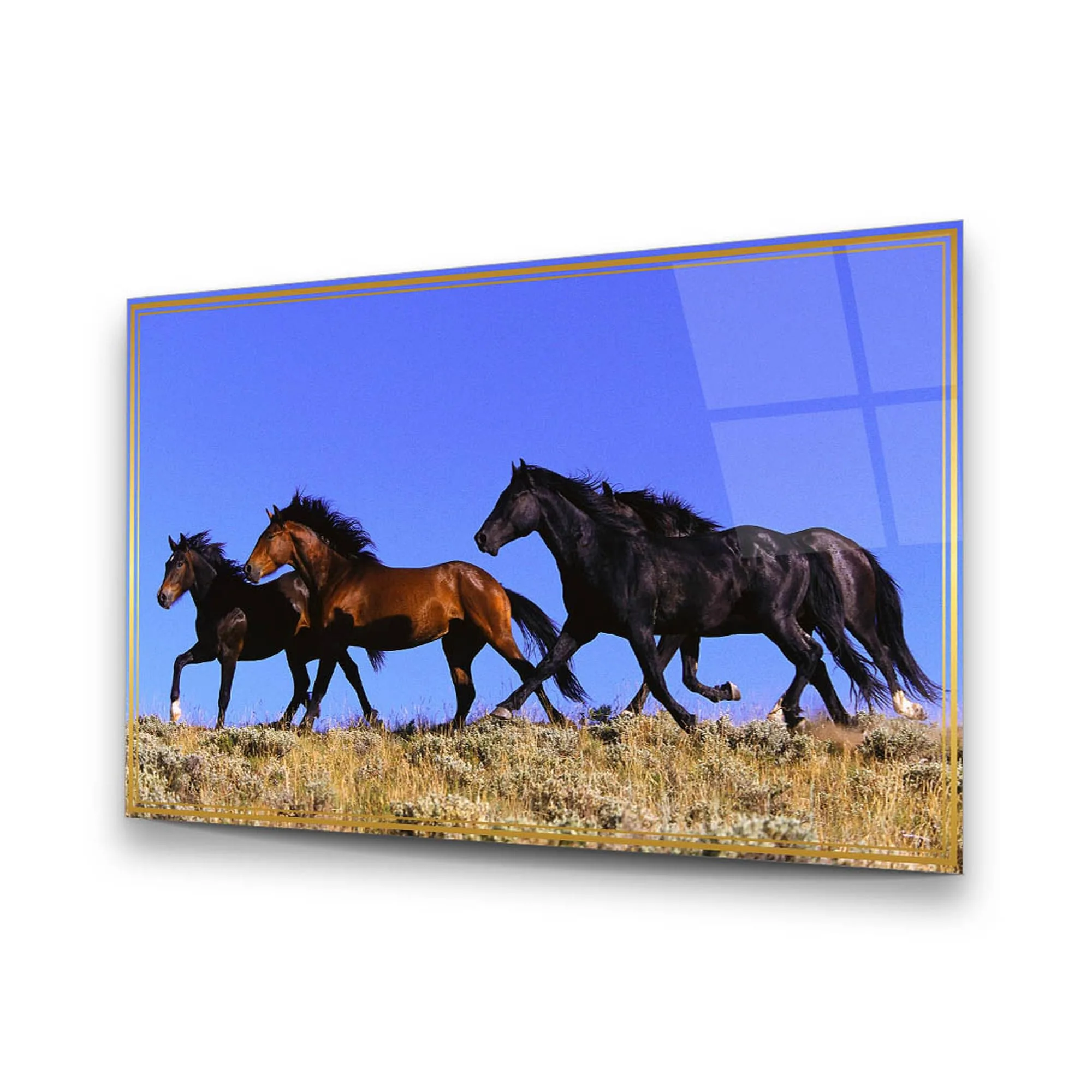 Stray Horses Glass Wall Art