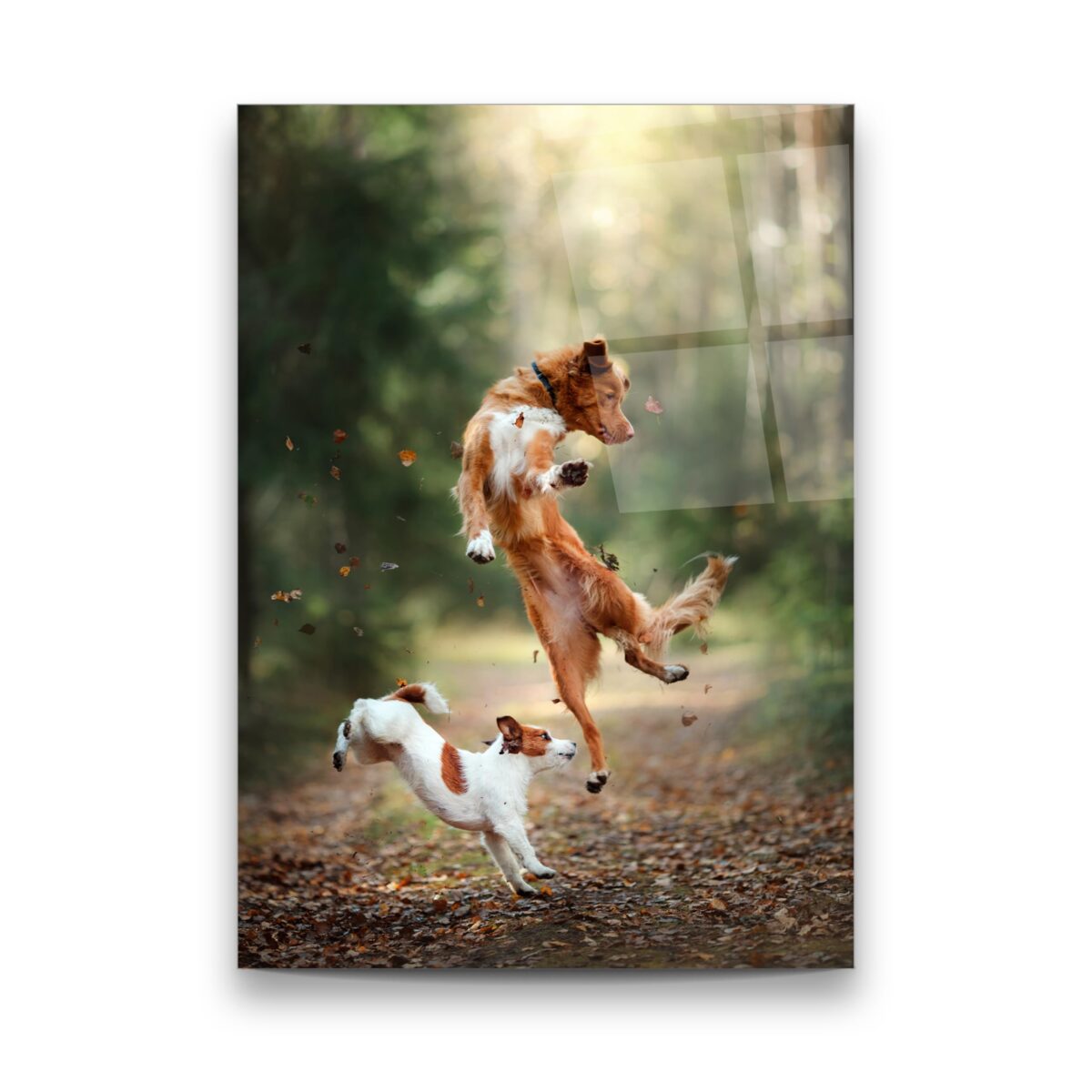Dog Action Glass Wall Art