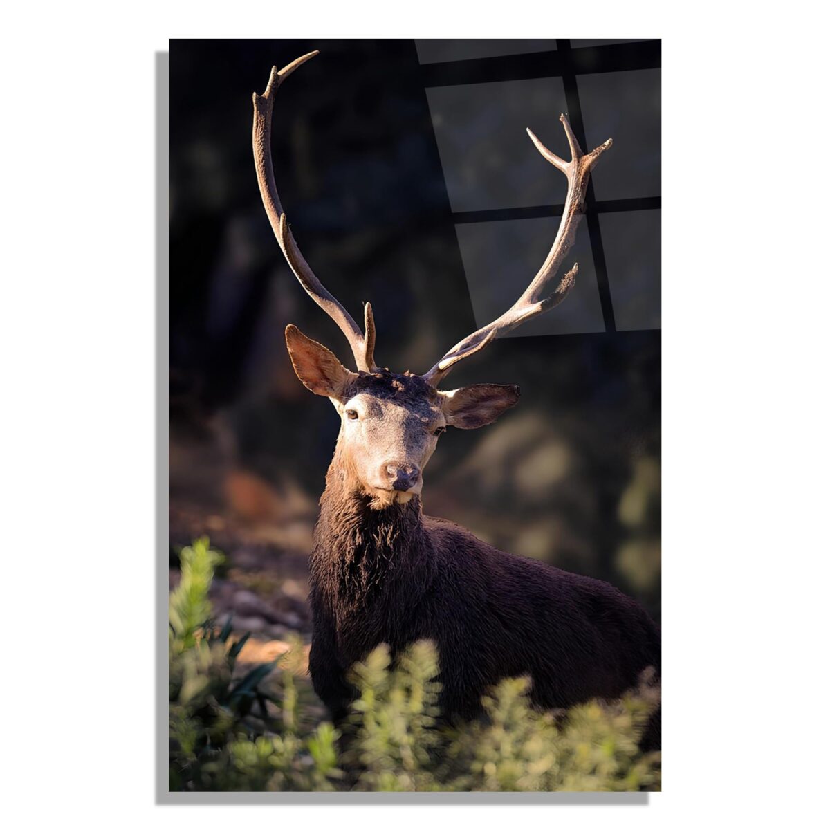 Deer Glass Wall Art