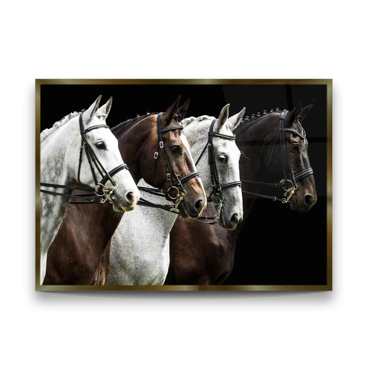 Horses Ready to Race Glass Wall Art