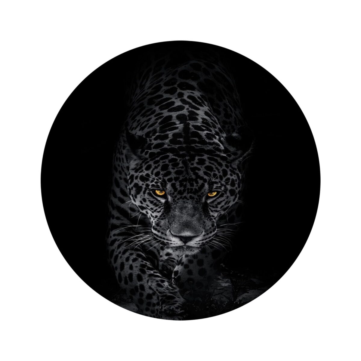 Bengal Tiger Glass Wall Art