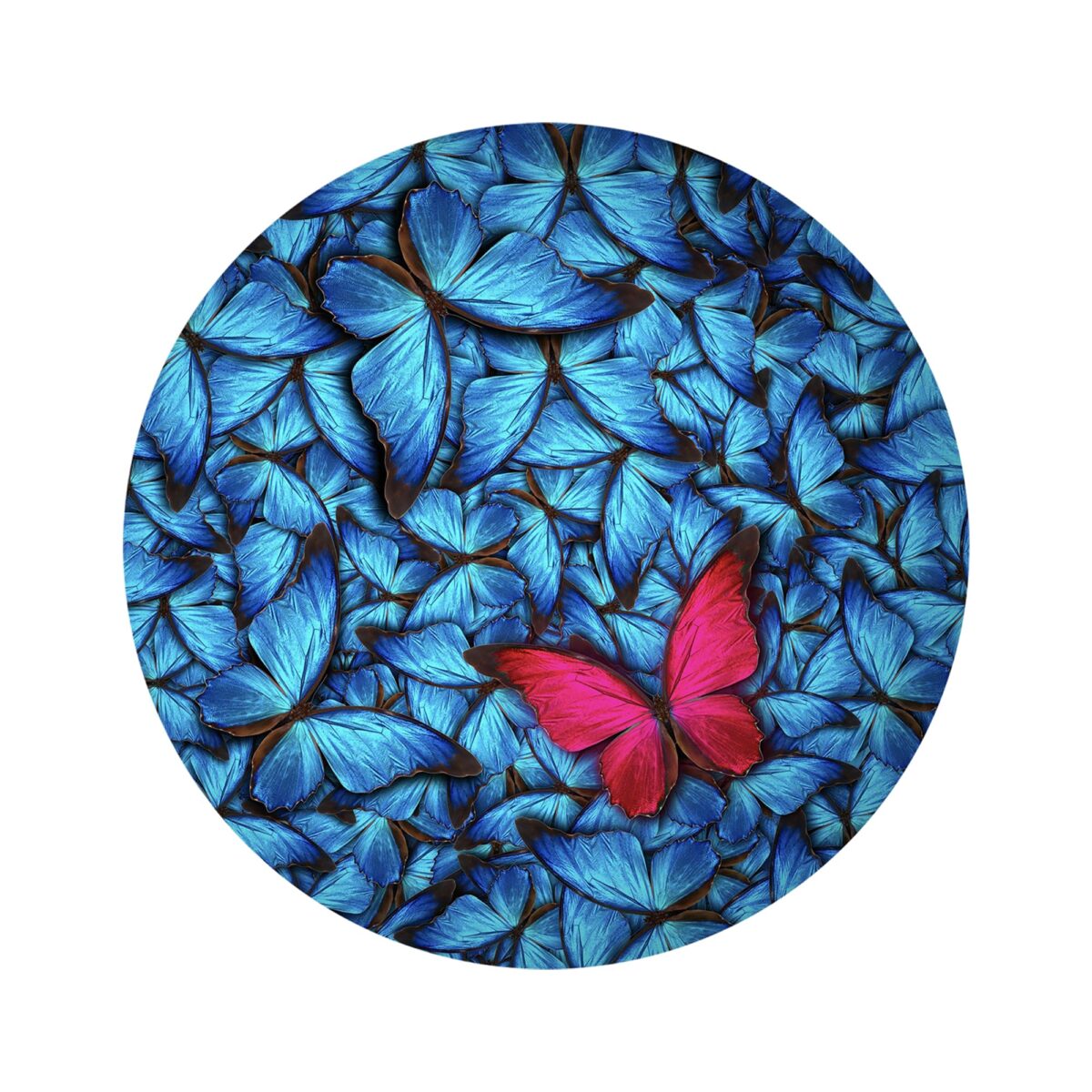 Butterflies Glass Wall Art