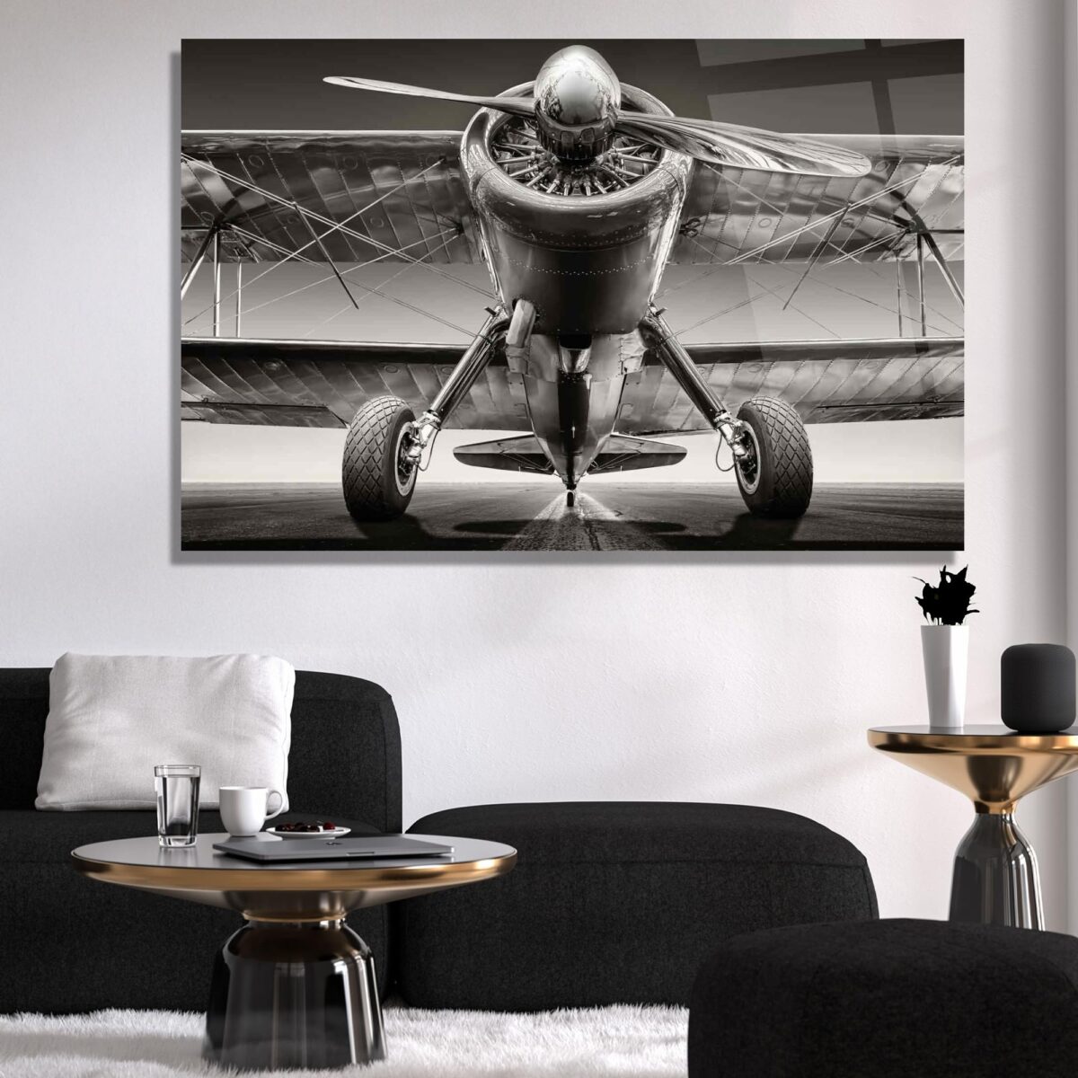 Classic Aircraft Glass Wall Art